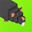 Rat Trap