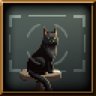 Picture purr-fect