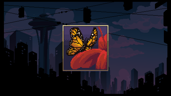 The Hibiscus ＆ The Butterfly