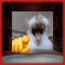 Meo-ha-ha!!!!