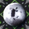 Next stop: the moon