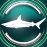 Blacktip shark