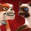 Cat on Rampage