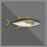 100 Tuna