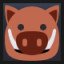 Boar