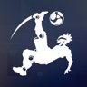 Volley