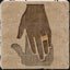 The Lady's Hand