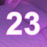 23 level completed
