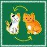 Cat swap