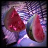  Your fruit killing skills are remarkable!
