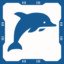 Spirit Animal: Bottlenose Dolphin