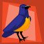 Aviary Friend