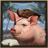 Piggie Pirate