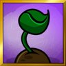 Green Shoots