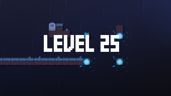 Level 25
