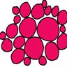 I2 Trophy: Raspberry