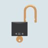 Master Lockpick
