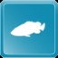Malabar Grouper