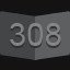 308 level