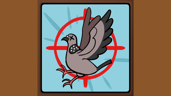Clay Pigeon