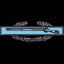 Combat Infantryman Badge 