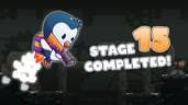Stage 15