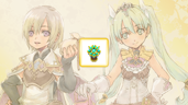 Completed Rune Factory 4