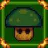 Normal Mushroom