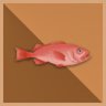 1.000 kg Red Fish