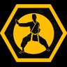 Karate Purist