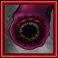 Leech