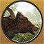 Longhorn