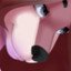 Furry_11