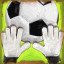 Goalie