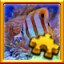 Butterflyfish Complete!