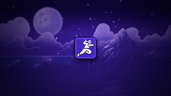 Enter The Ninja
