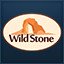 Master of Wildstone