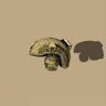 Brain Surgeon