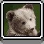 Bear Cubs