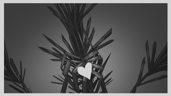 A Piercing Heart in a Cage of Iron