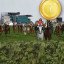 Grand National winner