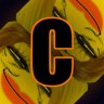 NEW_ACHIEVEMENT_NAME_86_8
