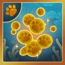 Richman fishercat