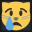 Crying Cat Face