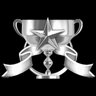 Stage 8 Expert Service
