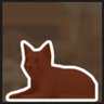 Find 80 hidden cats