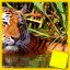 Tiger Complete