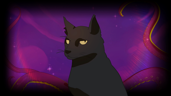 Feline