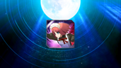 Combo Practitioner