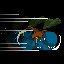 Speed run